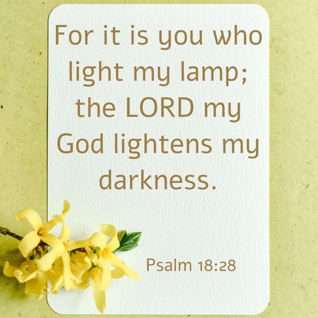 For it is you who light my lamp; the LORD my God lightens my darkness. - Psalm 18:28