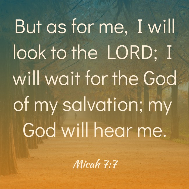 But as for me, I will look to the LORD; I will wait for the God of my salvation; my God will hear me. - Micah 7:7