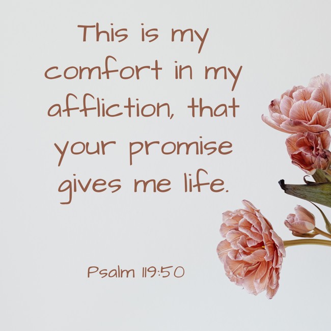This is my comfort in my affliction, that your promise gives me life. - Psalm 119:50