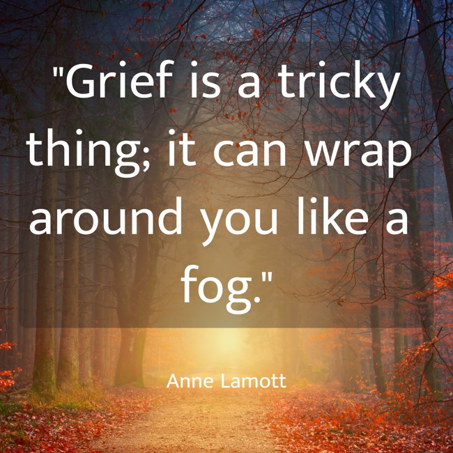Grief is a tricky thing; it can wrap around you like a fog. - Anne Lamott