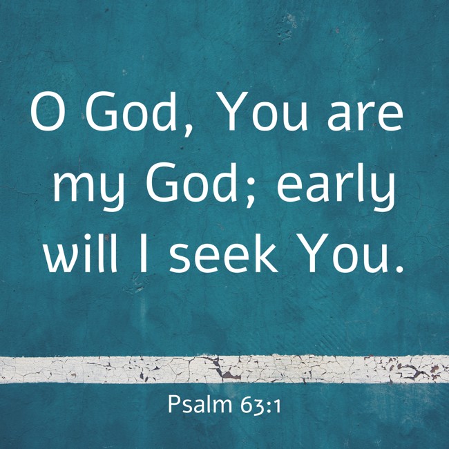 O God, You are my God; early will I seek You. - Psalm 63:1