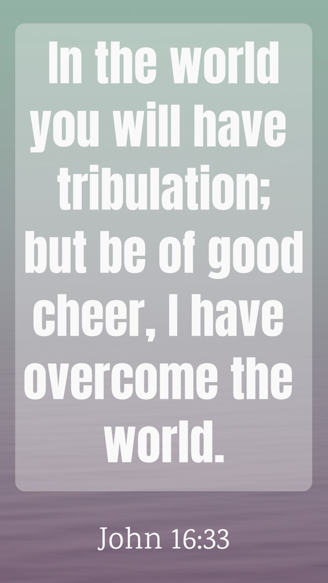 In the world you will have tribulation; but be of good cheer, I have overcome the world. - John 16:33