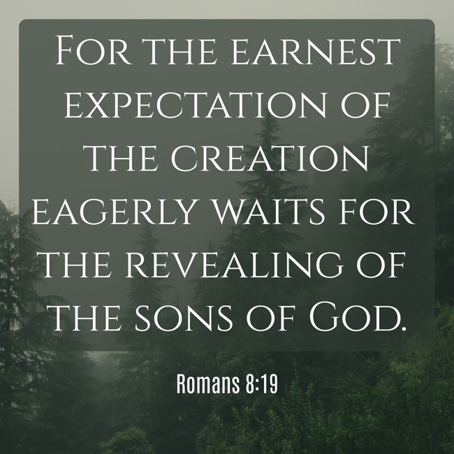For the earnest expectation of the creation eagerly waits for the revealing of the sons of God. - Romans 8:19