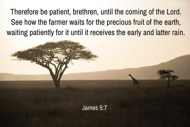 Therefore be patient, brethren, until the coming of the Lord. See how the farmer waits for the precious fruit of the earth, waiting patiently for it until it receives the early and latter rain. - James 5:7