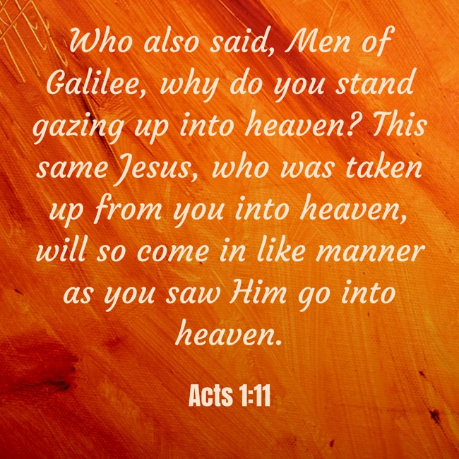 Who also said, Men of Galilee, why do you stand gazing up into heaven? This same Jesus, who was taken up from you into heaven, will so come in like manner as you saw Him go into heaven. - Acts 1:11