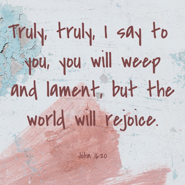  Truly, truly, I say to you, you will weep and lament, but the world will rejoice.   - John 16:20 