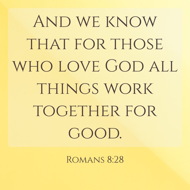  And we know that for those who love God all things work together for good.   - Romans 8:28 