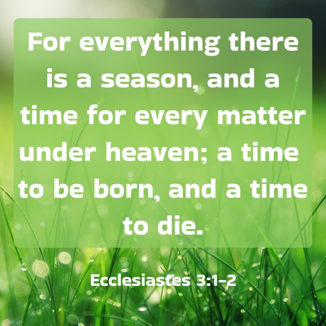  For everything there is a season, and a time for every matter under heaven; a time to be born, and a time to die.   - Ecclesiastes 3:1-2 