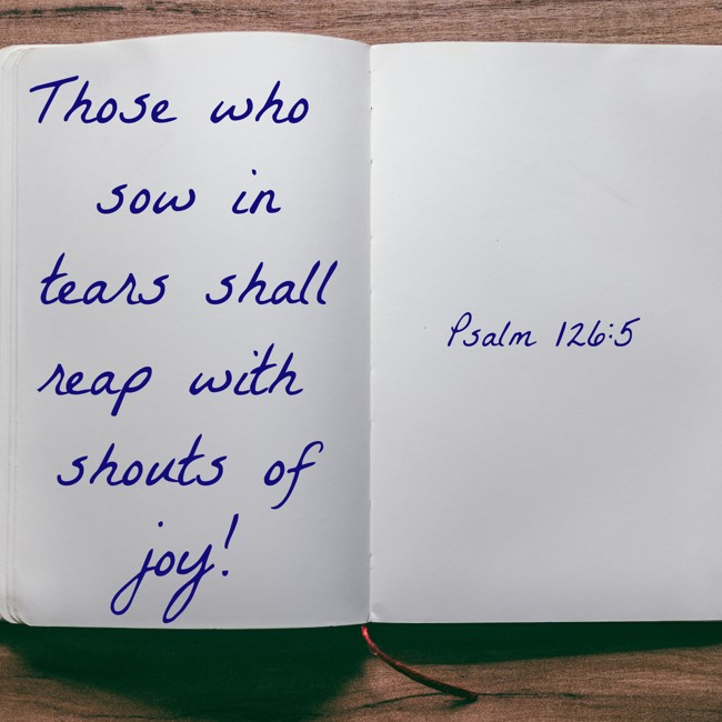  Those who sow in tears shall reap with shouts of joy!   - Psalm 126:5 