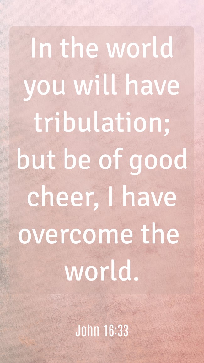 In the world you will have tribulation; but be of good cheer, I have overcome the world. - John 16:33