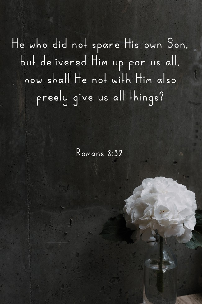 He who did not spare His own Son, but delivered Him up for us all, how shall He not with Him also freely give us all things? - Romans 8:32