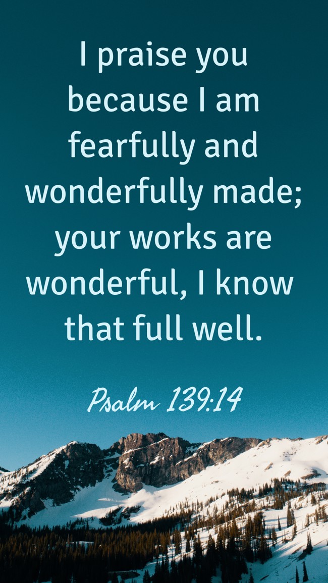 I praise you because I am fearfully and wonderfully made; your works are wonderful, I know that full well. - Psalm 139:14