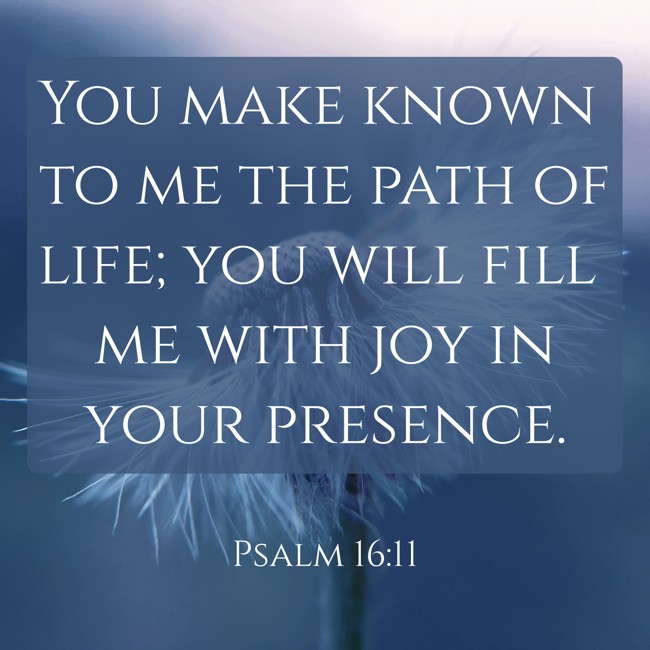 You make known to me the path of life; you will fill me with joy in your presence. - Psalm 16:11