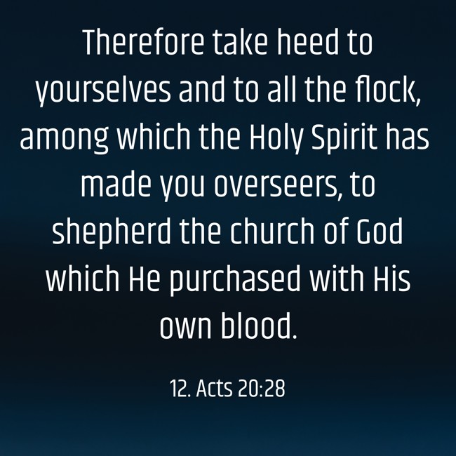 Therefore take heed to yourselves and to all the flock, among which the Holy Spirit has made you overseers, to shepherd the church of God which He purchased with His own blood. - 12. Acts 20:28
