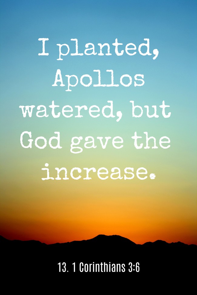 I planted, Apollos watered, but God gave the increase. - 13. 1 Corinthians 3:6