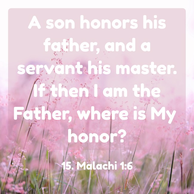 A son honors his father, and a servant his master. If then I am the Father, where is My honor? - 15. Malachi 1:6