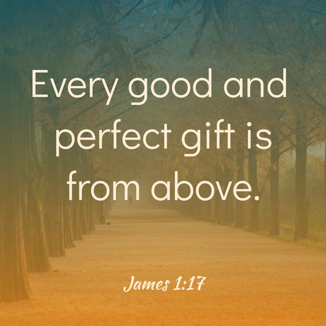 Every good and perfect gift is from above. - James 1:17