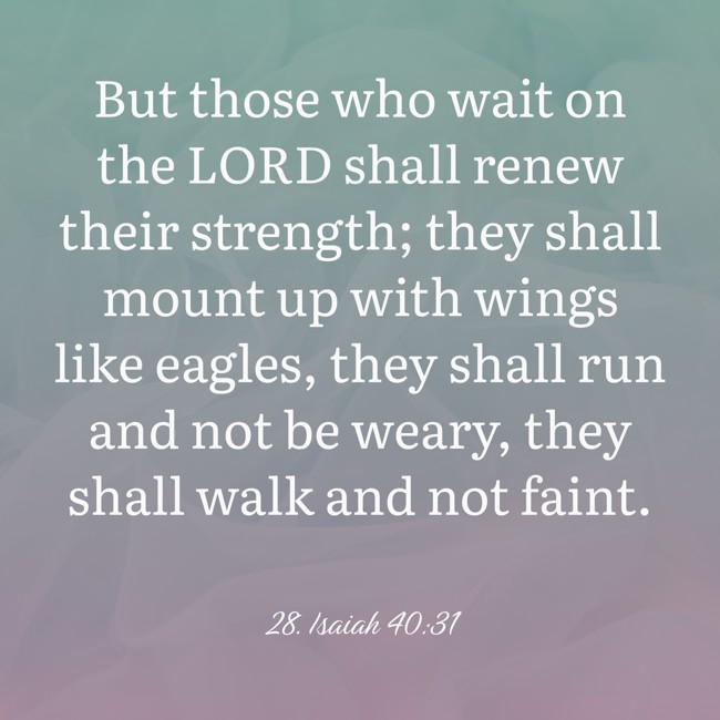 But those who wait on the LORD shall renew their strength; they shall mount up with wings like eagles, they shall run and not be weary, they shall walk and not faint. - 28. Isaiah 40:31