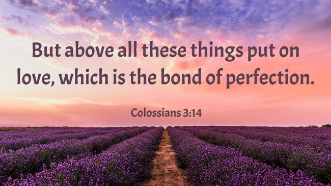 But above all these things put on love, which is the bond of perfection. - Colossians 3:14