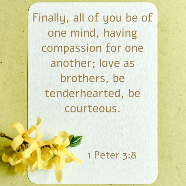 Finally, all of you be of one mind, having compassion for one another; love as brothers, be tenderhearted, be courteous. - 1 Peter 3:8