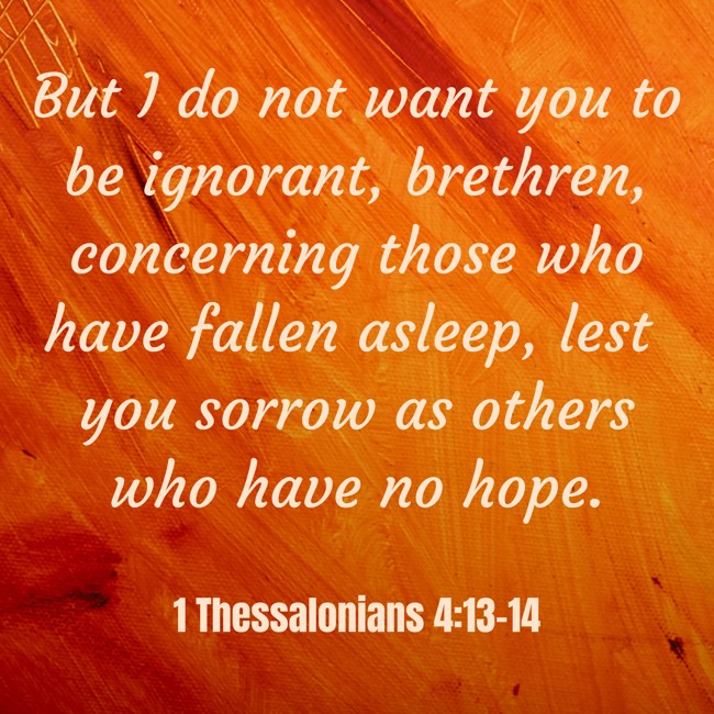 But I do not want you to be ignorant, brethren, concerning those who have fallen asleep, lest you sorrow as others who have no hope. - 1 Thessalonians 4:13-14