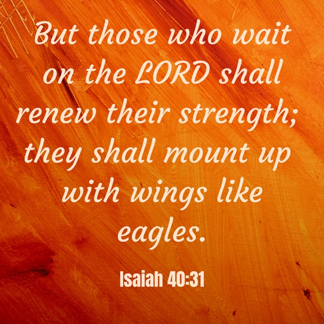 But those who wait on the LORD shall renew their strength; they shall mount up with wings like eagles. - Isaiah 40:31