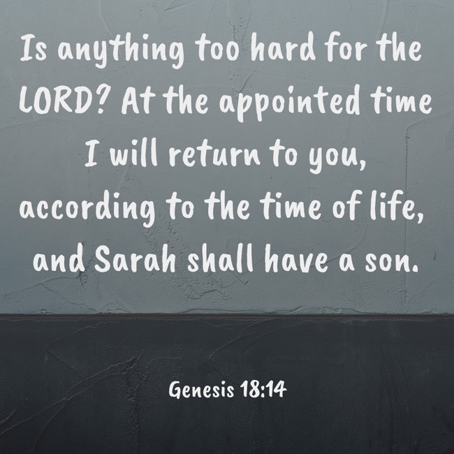 Is anything too hard for the LORD? At the appointed time I will return to you, according to the time of life, and Sarah shall have a son. - Genesis 18:14