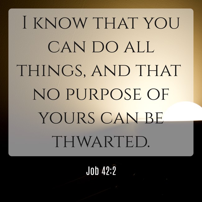 I know that you can do all things, and that no purpose of yours can be thwarted. - Job 42:2