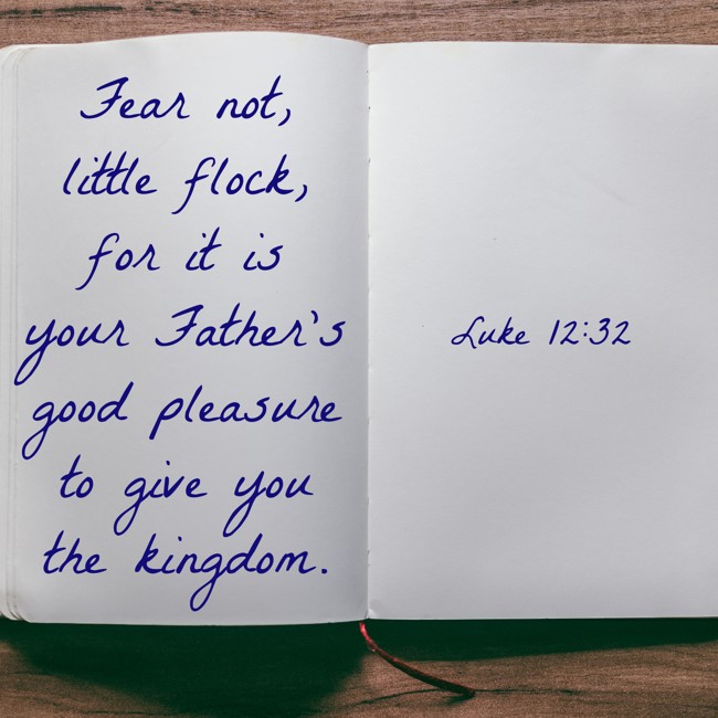 Fear not, little flock, for it is your Father's good pleasure to give you the kingdom. - Luke 12:32
