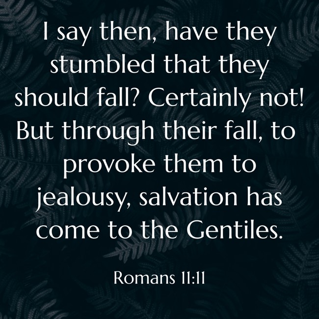 I say then, have they stumbled that they should fall? Certainly not! But through their fall, to provoke them to jealousy, salvation has come to the Gentiles. - Romans 11:11