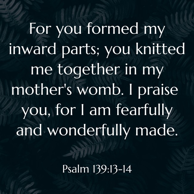 For you formed my inward parts; you knitted me together in my mother's womb. I praise you, for I am fearfully and wonderfully made. - Psalm 139:13-14