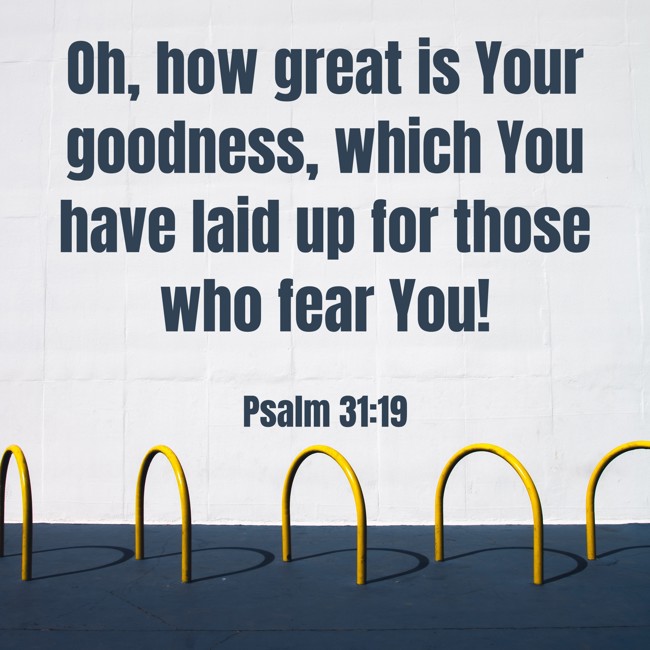 Oh, how great is Your goodness, which You have laid up for those who fear You! - Psalm 31:19