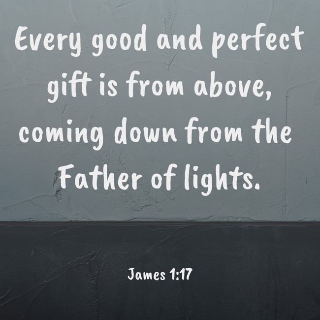 Every good and perfect gift is from above, coming down from the Father of lights. - James 1:17