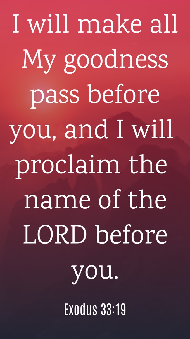 I will make all My goodness pass before you, and I will proclaim the name of the LORD before you. - Exodus 33:19