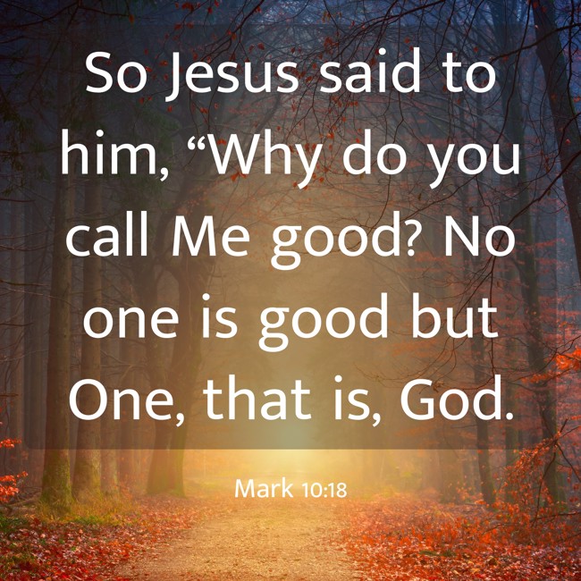 So Jesus said to him, “Why do you call Me good? No one is good but One, that is, God. - Mark 10:18
