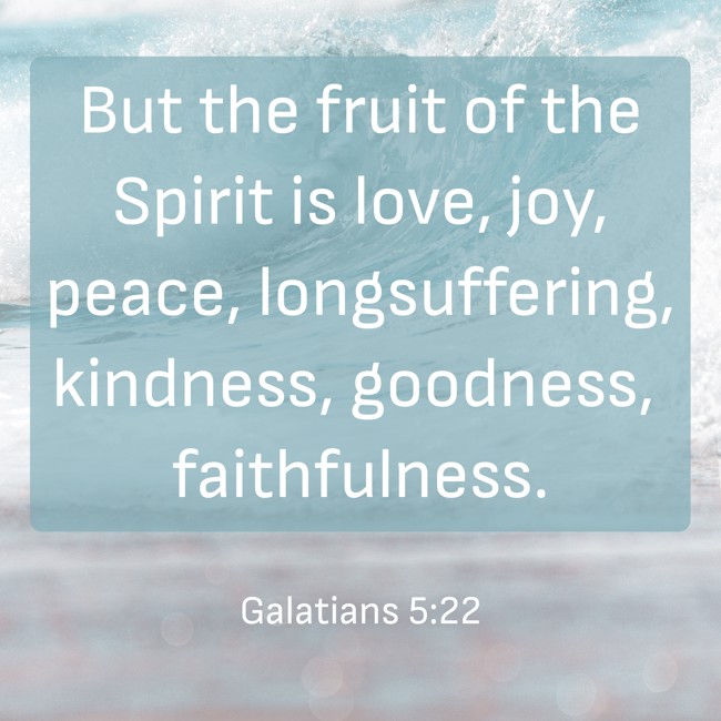 But the fruit of the Spirit is love, joy, peace, longsuffering, kindness, goodness, faithfulness. - Galatians 5:22
