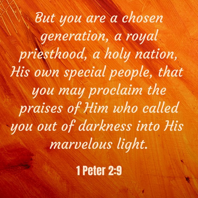 But you are a chosen generation, a royal priesthood, a holy nation, His own special people, that you may proclaim the praises of Him who called you out of darkness into His marvelous light. - 1 Peter 2:9