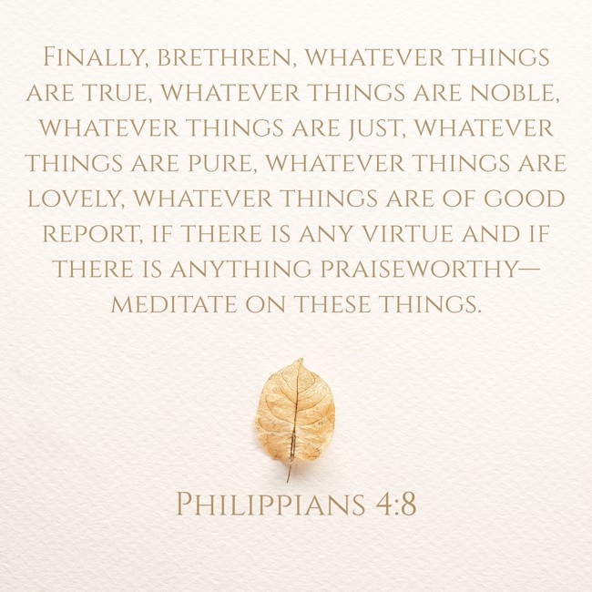 Finally, brethren, whatever things are true, whatever things are noble, whatever things are just, whatever things are pure, whatever things are lovely, whatever things are of good report, if there is any virtue and if there is anything praiseworthy—meditate on these things. - Philippians 4:8