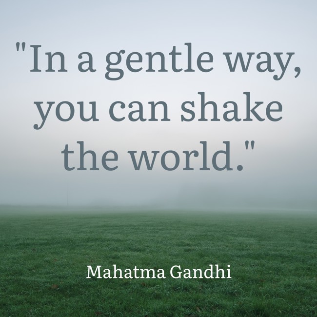 In a gentle way, you can shake the world. - Mahatma Gandhi