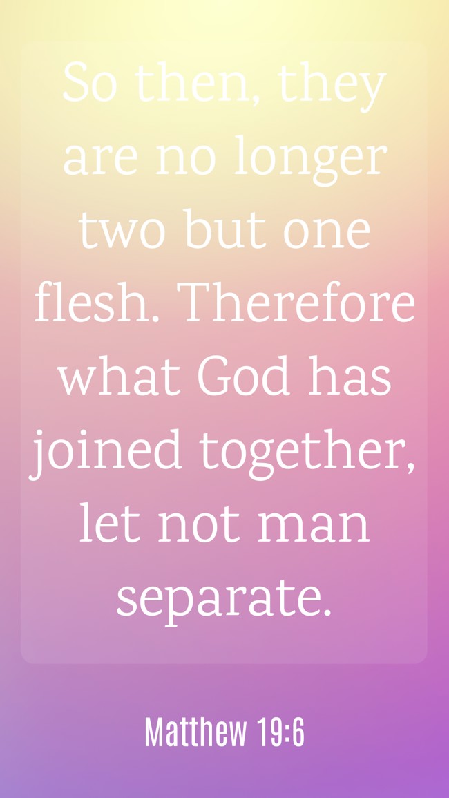 So then, they are no longer two but one flesh. Therefore what God has joined together, let not man separate. - Matthew 19:6