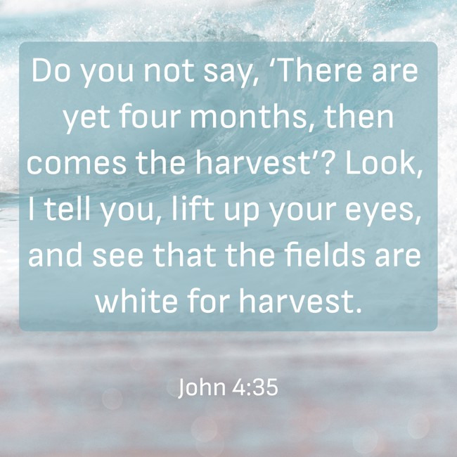 Do you not say, ‘There are yet four months, then comes the harvest’? Look, I tell you, lift up your eyes, and see that the fields are white for harvest. - John 4:35