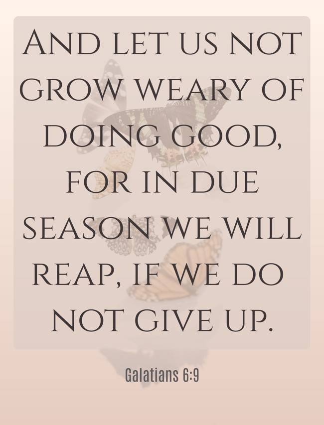 And let us not grow weary of doing good, for in due season we will reap, if we do not give up. - Galatians 6:9