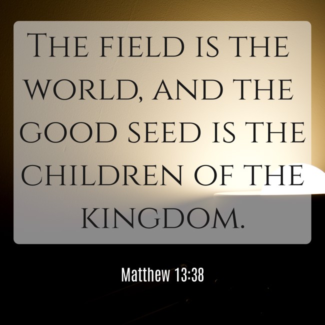 The field is the world, and the good seed is the children of the kingdom. - Matthew 13:38
