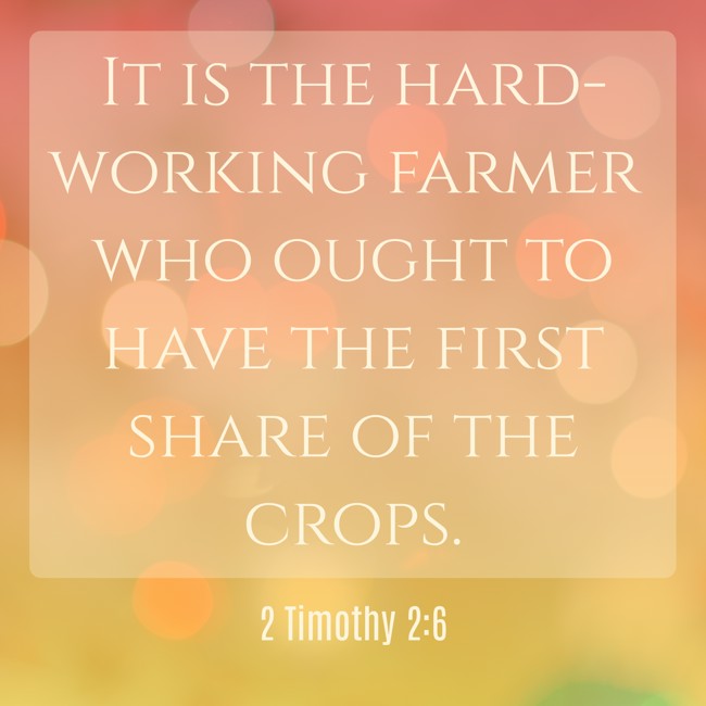 It is the hard-working farmer who ought to have the first share of the crops. - 2 Timothy 2:6