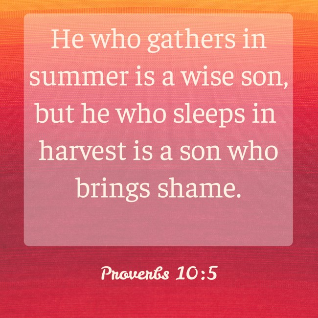 He who gathers in summer is a wise son, but he who sleeps in harvest is a son who brings shame. - Proverbs 10:5