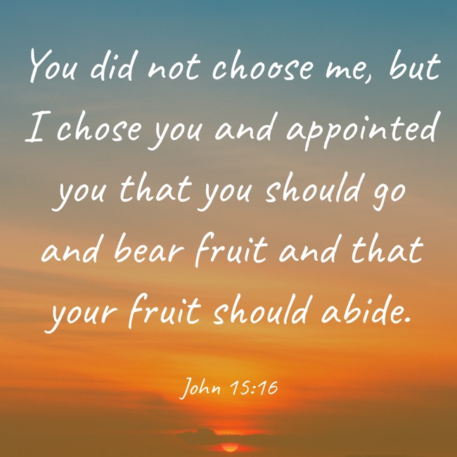 You did not choose me, but I chose you and appointed you that you should go and bear fruit and that your fruit should abide. - John 15:16