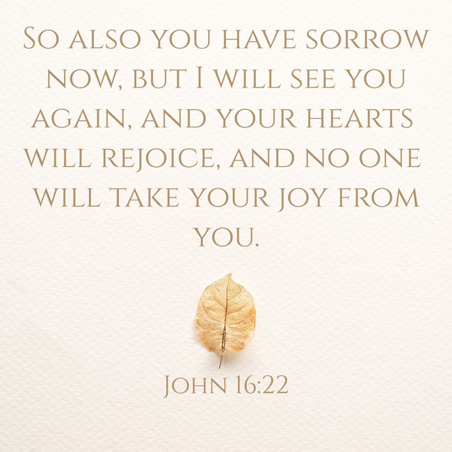 So also you have sorrow now, but I will see you again, and your hearts will rejoice, and no one will take your joy from you. - John 16:22