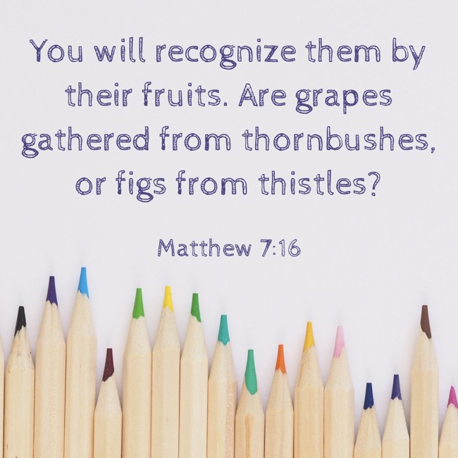 You will recognize them by their fruits. Are grapes gathered from thornbushes, or figs from thistles? - Matthew 7:16