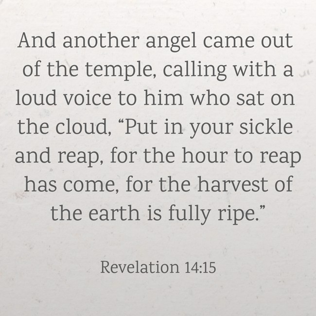 And another angel came out of the temple, calling with a loud voice to him who sat on the cloud, “Put in your sickle and reap, for the hour to reap has come, for the harvest of the earth is fully ripe.” - Revelation 14:15