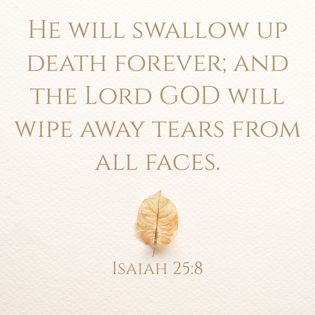 He will swallow up death forever; and the Lord GOD will wipe away tears from all faces. - Isaiah 25:8